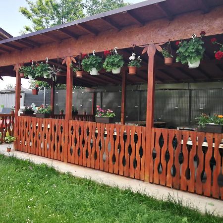 Vila Baciu Hotel Tuzla Ngoại thất bức ảnh