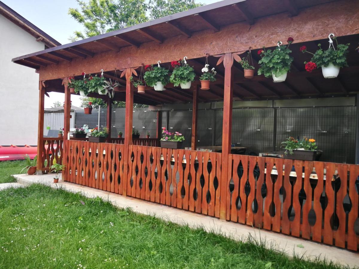 Vila Baciu Hotel Tuzla Ngoại thất bức ảnh