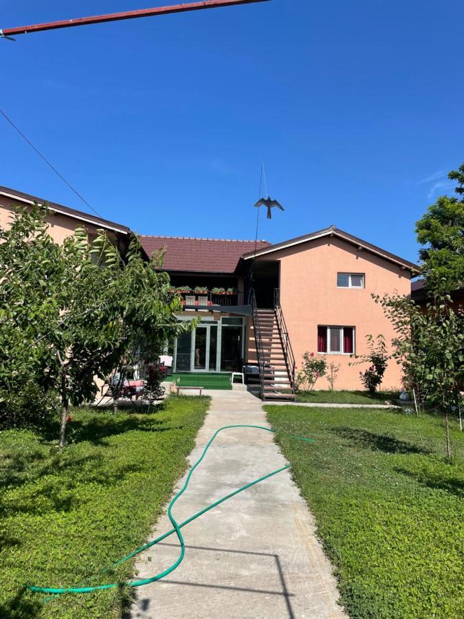 Vila Baciu Hotel Tuzla Ngoại thất bức ảnh